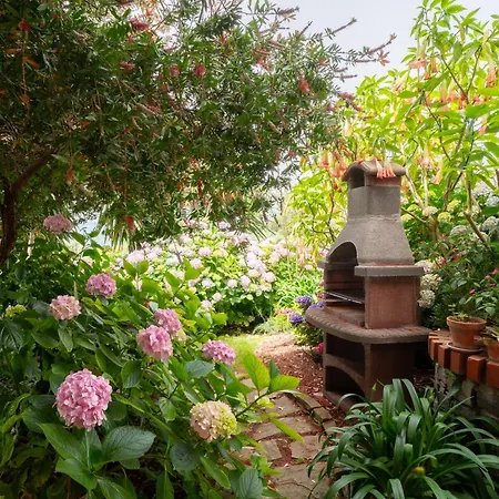 Into The Green! Imperia Appt With Parking & Pool アパート Barcheo